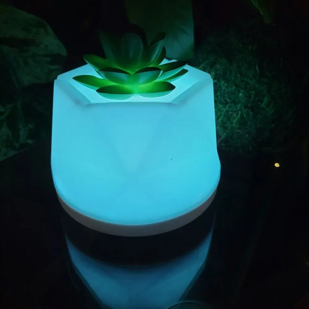 Succulent Color-Changing Night Light Lamp Waterless Essential Oil Diffuser Aroma